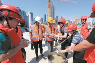 武汉电负荷最新爆料,揭秘城市电力需求背后的故事  第1张